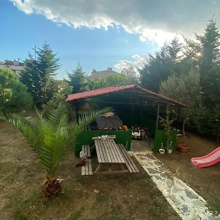 Vip Hizmeti Sunan Sirin Büyükçekmece